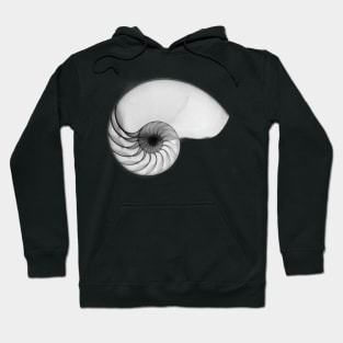 Monochrome Seashell Hoodie